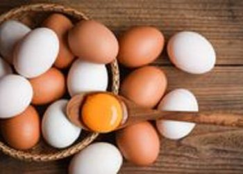 Ketahui Manfaat Telur untuk Kulit Wajah