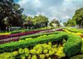 Simak Tiga Tempat Wisata Gratis di Daerah Jakarta