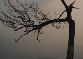 Bahaya Hadits Palsu Bagi Pembuat dan Penyebarnya (2)