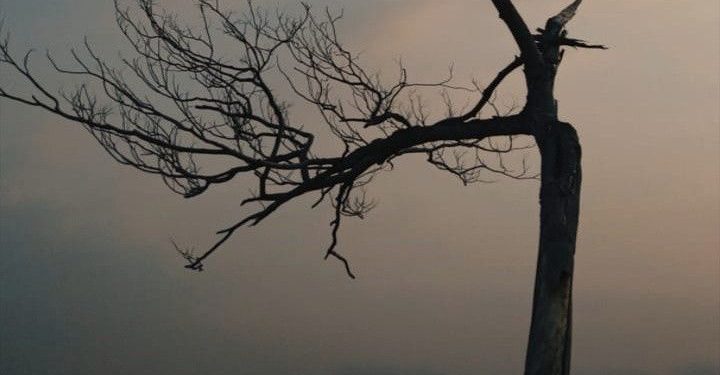 Bahaya Hadits Palsu Bagi Pembuat dan Penyebarnya (2)