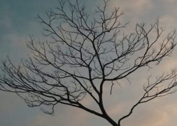 Bahaya Hadits Palsu Bagi Pembuat dan Penyebarnya (1)