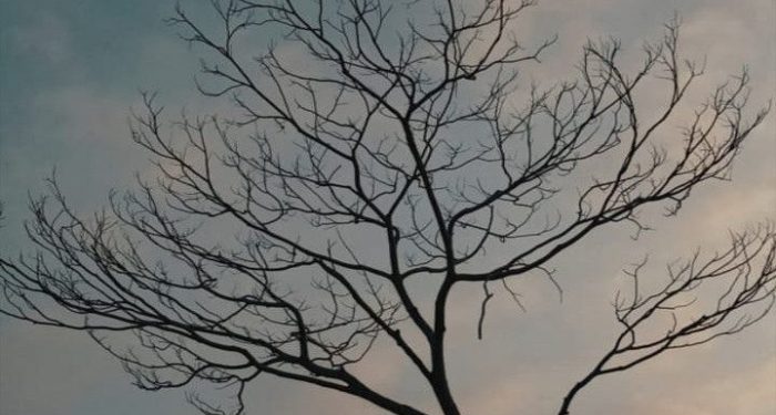 Bahaya Hadits Palsu Bagi Pembuat dan Penyebarnya (1)