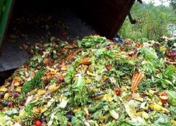 Uni Emirat Arab Mengubah Limbah Makanan Menjadi Bahan Bakar Pesawat