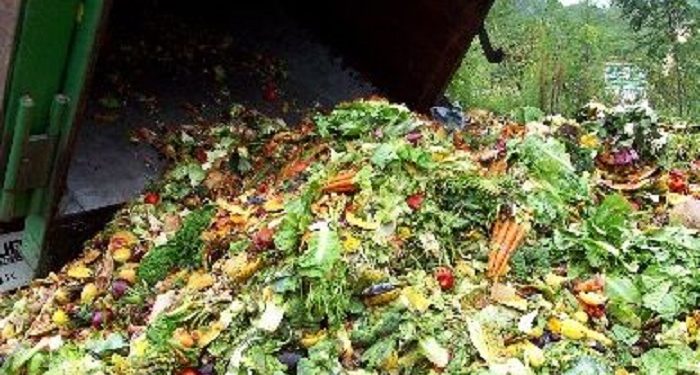 Uni Emirat Arab Mengubah Limbah Makanan Menjadi Bahan Bakar Pesawat