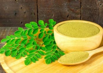 Beberapa Efek Samping Makan Daun Kelor