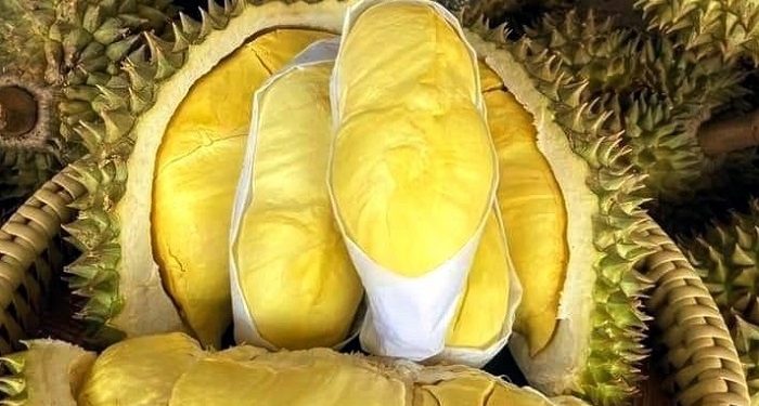 Beberapa Kondisi Tubuh yang Sebaiknya Menghindari Konsumsi Durian