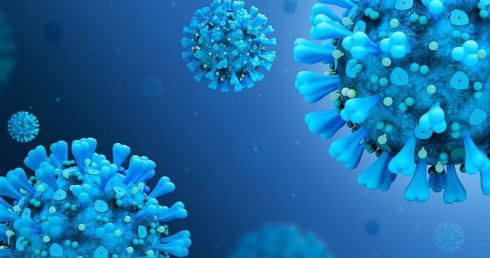 Telah Terkonfirmasi, Flu Burung Menewaskan Satu Orang di AS