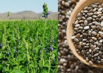 Tanda-Tanda Gangguan Kesuburan pada Perempuan