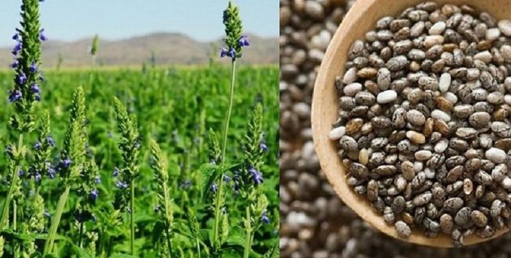 Tanda-Tanda Gangguan Kesuburan pada Perempuan