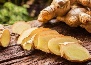 Jahe Memiliki Beragam Manfaat bagi Kesehatan Tubuh