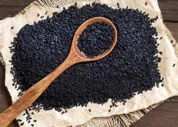 Jintan Hitam Kaya Akan Protein, Karbohidrat dan Kandungan Lainnya