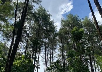 Mengkhawatirkan Keberhasilan Tanpa Menerima Perjalanan akan Menghadapi Perjuangan