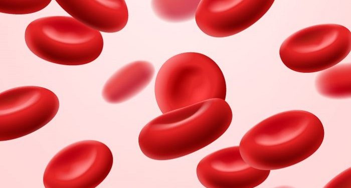 Kehamilan dapat Sebabkan Perubahan pada Sistem Proses Pembekuan Darah