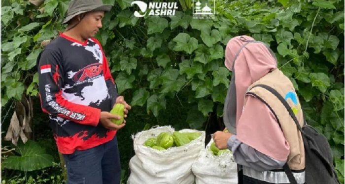 Harga Sedang Anjlok, Alasan Petani Tidak Mau menjual Hasil Panennya ke Masjid