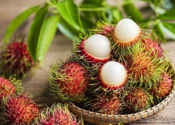Tips Memilih Rambutan yang Memiliki Rasa Legit dan Segar