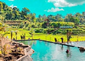 Simak Beberapa Daya Tarik Utama dari Wisata Sumber Gempong di Jawa Timur