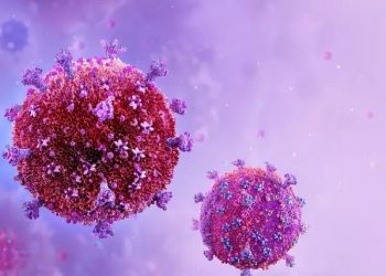 Kemenkes RI Mengimbau Masyarakat terhadap Wabah Virus Human Metapneumovirus