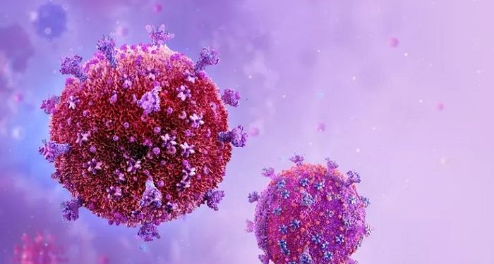 Kemenkes RI Mengimbau Masyarakat terhadap Wabah Virus Human Metapneumovirus