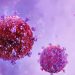 Kemenkes RI Mengimbau Masyarakat terhadap Wabah Virus Human Metapneumovirus