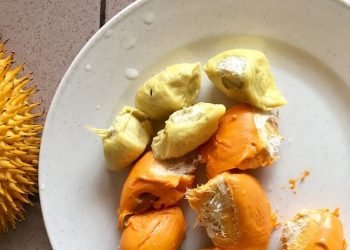 Biji Durian jadi Sumber Energi yang Baik