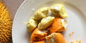 Biji Durian jadi Sumber Energi yang Baik