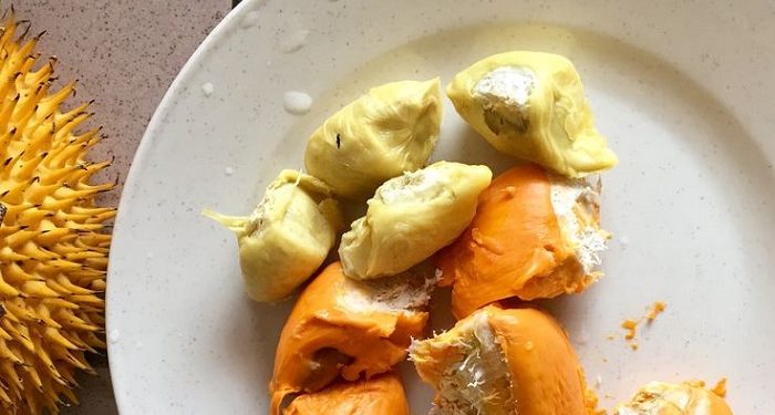 Biji Durian jadi Sumber Energi yang Baik