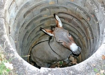 Bagaikan Mengubur Keledai