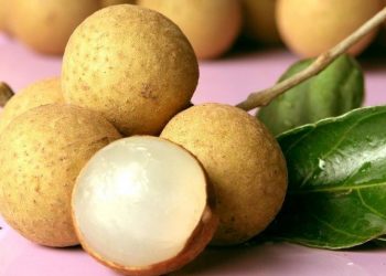 Tujuh Penyakit yang Bisa Diobati dengan Buah Kelengkeng