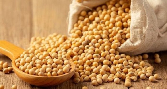 Beberapa Makanan untuk Menurunkan Gula Darah