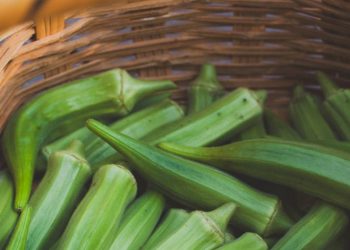 Manfaat Air Rendaman Okra Dicampur dengan Madu