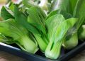 Lima Manfaat Sayur Pakcoy untuk Kesehatan Tubuh