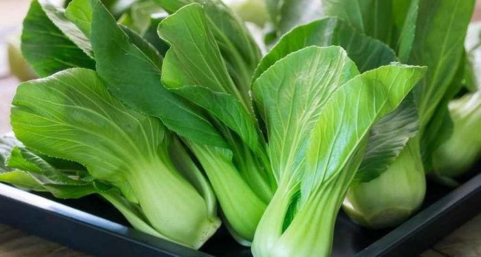 Lima Manfaat Sayur Pakcoy untuk Kesehatan Tubuh