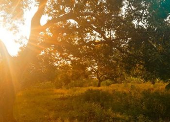 Paparan Sinar Matahari Langsung dapat Menembus Lapisan Kulit Paling Dalam