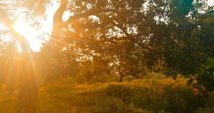 Paparan Sinar Matahari Langsung dapat Menembus Lapisan Kulit Paling Dalam