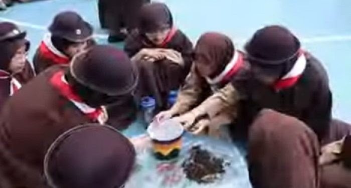 Green Day Ala SMP dan SMA Jakarta Islamic School