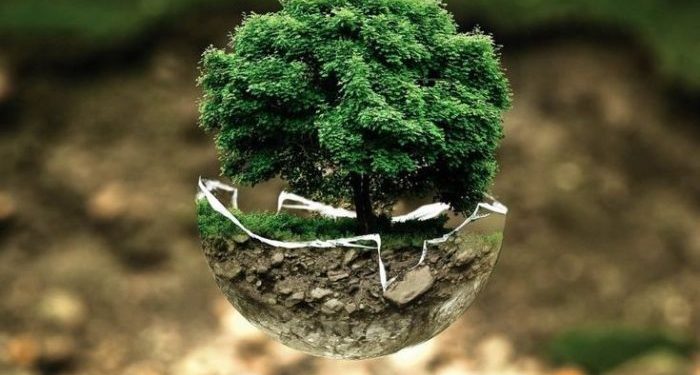 Hidup Bukan untuk Kaya atau Miskin