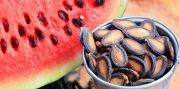 Beberapa Penyakit yang dapat Dicegah dengan Biji Semangka