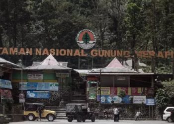 Balai Taman Nasional Gunung Merapi Buat Skincare Bahan Herbal dan Abu Vulkanik