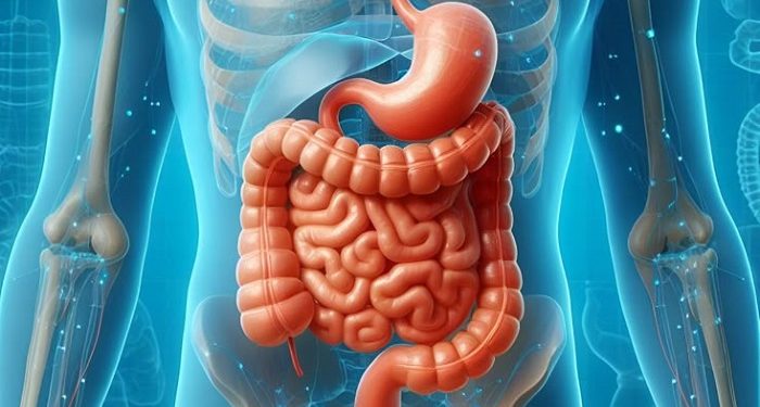 Alasan Tidur Setelah Sahur dapat Mengganggu Proses Pencernaan Tubuh