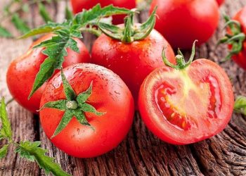 Daftar Pilihan Makanan Terbaik untuk Menurunkan Gula Darah