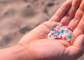Lima Cara Mengurangi Paparan Mikroplastik