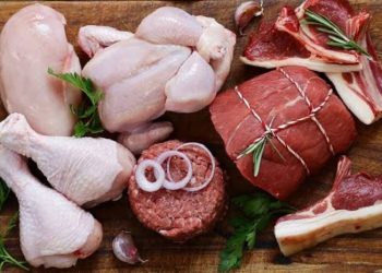 Cegah Stunting, Anak-Anak Harus Mendapatkan Sumber Protein Hewani yang Cukup