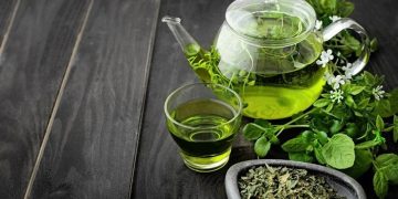Ketahui Perbedaan Teh Hijau dan Matcha