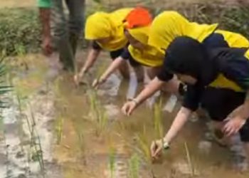 TK JISc Adakan Outing Class ke Rivera Bogor