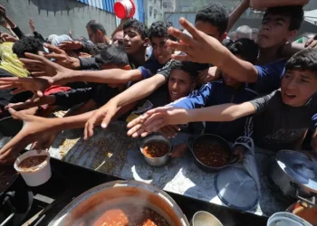 Kelaparan Makin Parah di Gaza, Persediaan Makanan Menipis