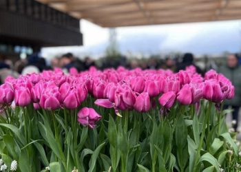 Mensyukuri Apa yang Kita Punya