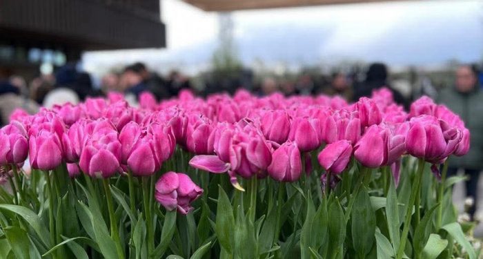 Mensyukuri Apa yang Kita Punya