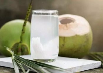 Fakta atau Mitos, Minum Air Kelapa Selama Hamil Bikin Kulit Bayi Bersih