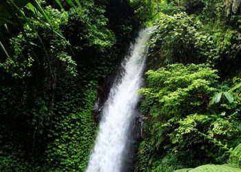 Beberapa Rekomendasi Air Terjun di Jember
