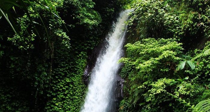 Beberapa Rekomendasi Air Terjun di Jember